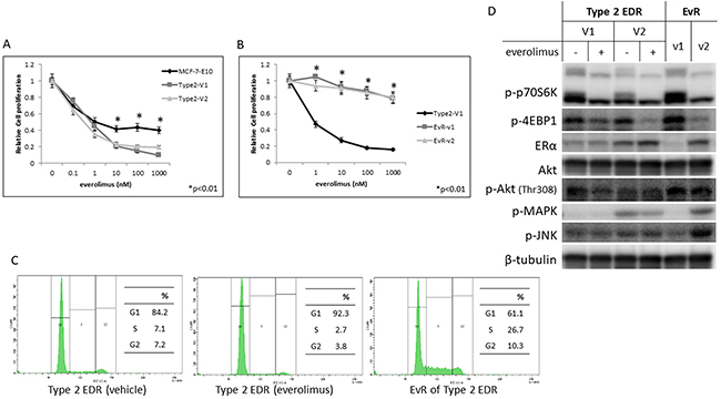 Effect of everolimus on MCF-7-E10 cells and two variants (V1, V2) of Type 2 EDR cells.