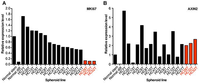 Ligand-independent Wnt-signaling activation in CRC-TIC spheroid lines.