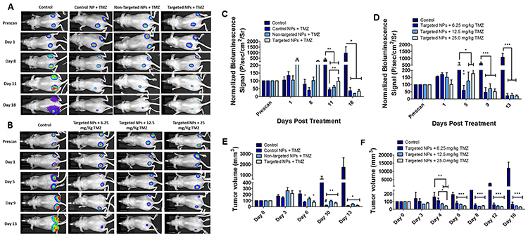 In vivo tumor growth analysis and bioluminescence imaging of mice bearing U87MG tumors stably expressing Fluc-eGFP.