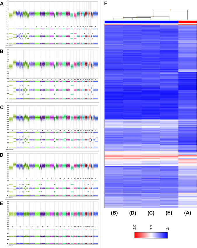 Figure 2: