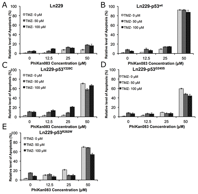 Differential therapeutic response of Ln229 cells stably expressing split-Renilla luciferase complementation biosensor with different p53 mutants (p53wt, p53Y220C, p53G245S, p53R282W) to chemotherapy (TMZ) in the presence of different doses of PhiKan083, as assessed by FACS analysis for the induced apoptotic population.