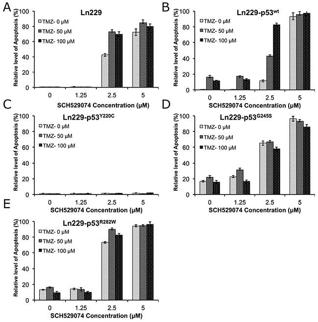 Differential therapeutic response of Ln229 cells stably expressing split-Renilla luciferase complementation biosensor with different p53 variants (p53wt, p53Y220C, p53G245S, p53R282W) to chemotherapy (TMZ) in the presence of different doses of SCH529074 as assessed by FACS analysis for the induced apoptotic population.