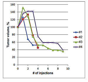 Fig.1: Change in Tumor Volume During Treatment with p62 Vaccine.