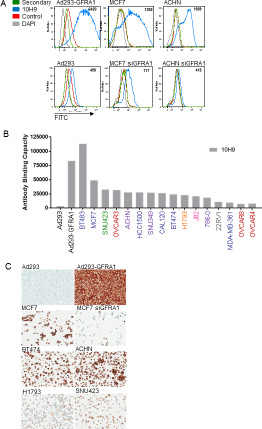 Anti-GFRA1