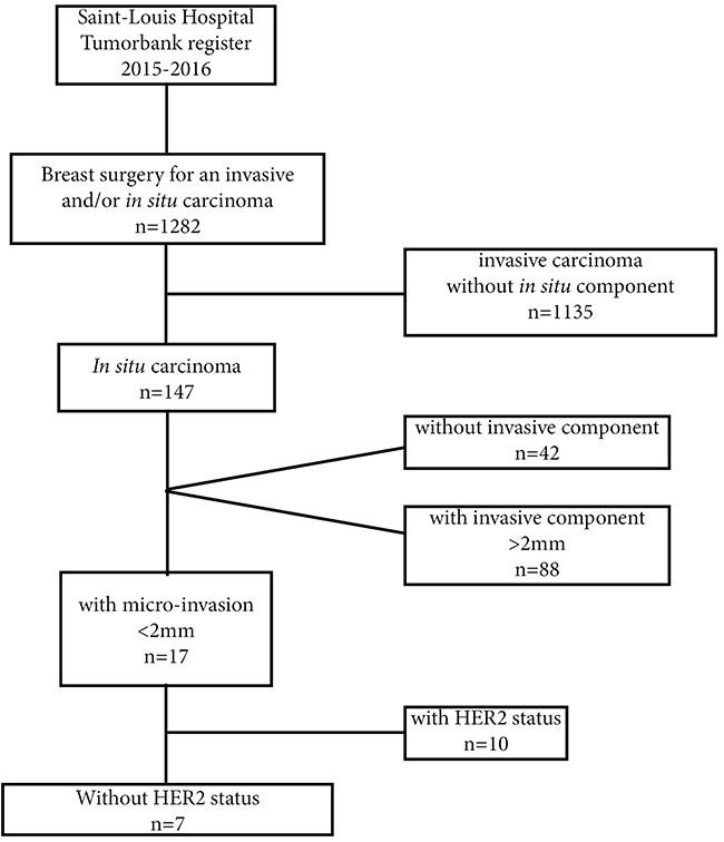 Diagram for selection criteria of the 7 patients with in situ carcinoma and micro-invasive component with undetermined HER2 status.