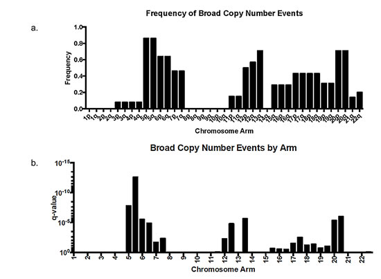 Frequency and significance of broad (arm-level) copy number aberrations in 14 angiomatous meningiomas by aCGH.