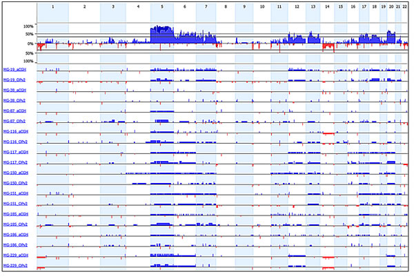 Comparison of copy number analysis from exon sequencing data and high-resolution aCGH data.