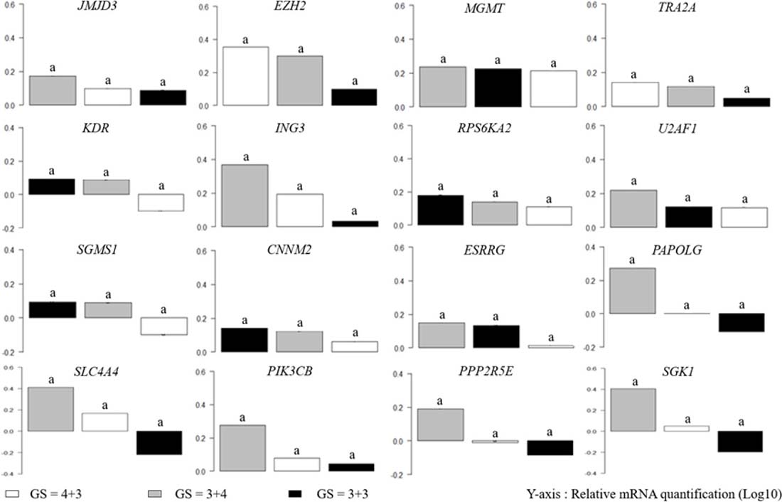 mRNA expression is not significantly different in GS &#x2264; 7 clinicopathological groups.