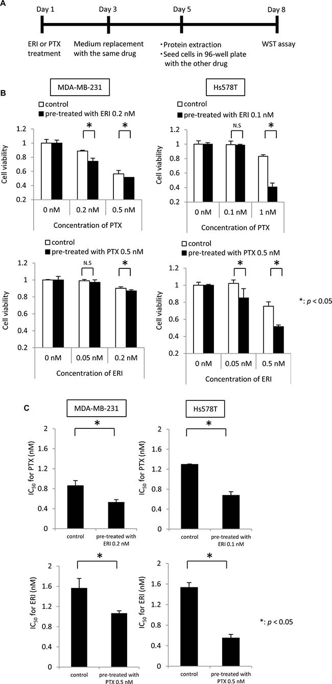 Effects of eribulin pre-treatment on paclitaxel sensitivity and paclitaxel pre-treatment on eribulin sensitivity.