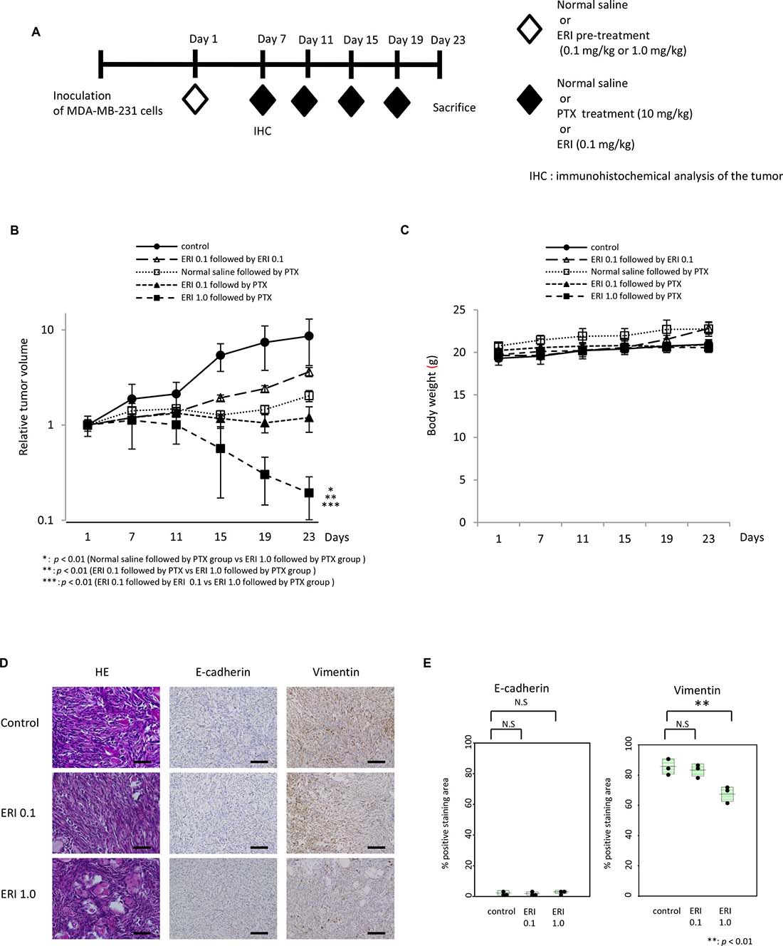 Effects of pre-treatment with eribulin on the anti-tumor activity of paclitaxel in MDA-MB-231 mouse xenograft models.