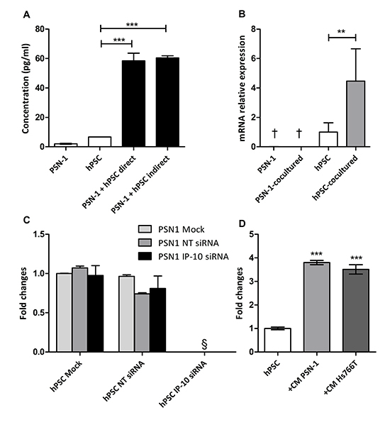 Induction of IP-10 expression does not require cell contact in coculture.