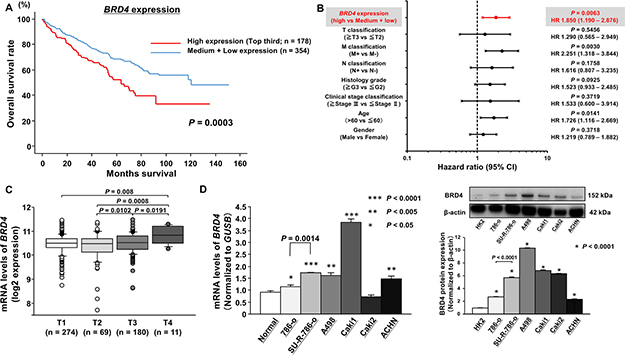 Clinical significance of BRD4 expression in ccRCC according to TCGA data.