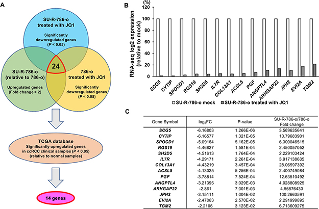 Identification of novel molecular targets and mechanisms by JQ1 treatment in sunitinib-resistant ccRCC.