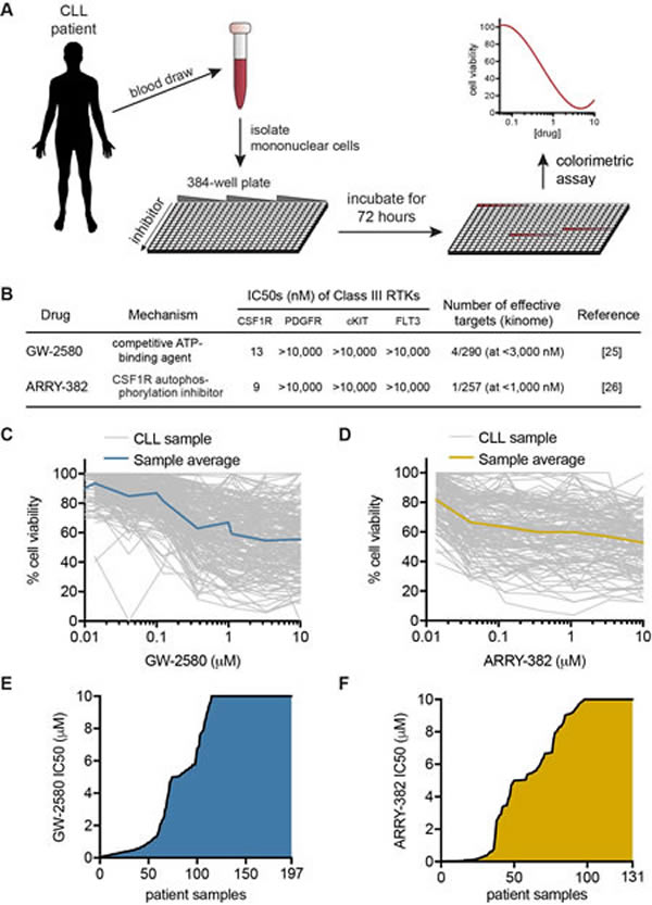 Figure 1: Ex vivo inhibitor screening reveals CSF1R sensitivity in CLL patient specimens. A.