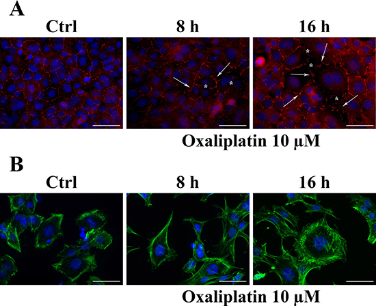 Figure 3: