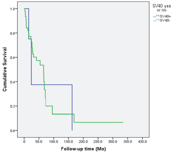 The survival of the patients according to the SV40 status of the head and neck cancer.