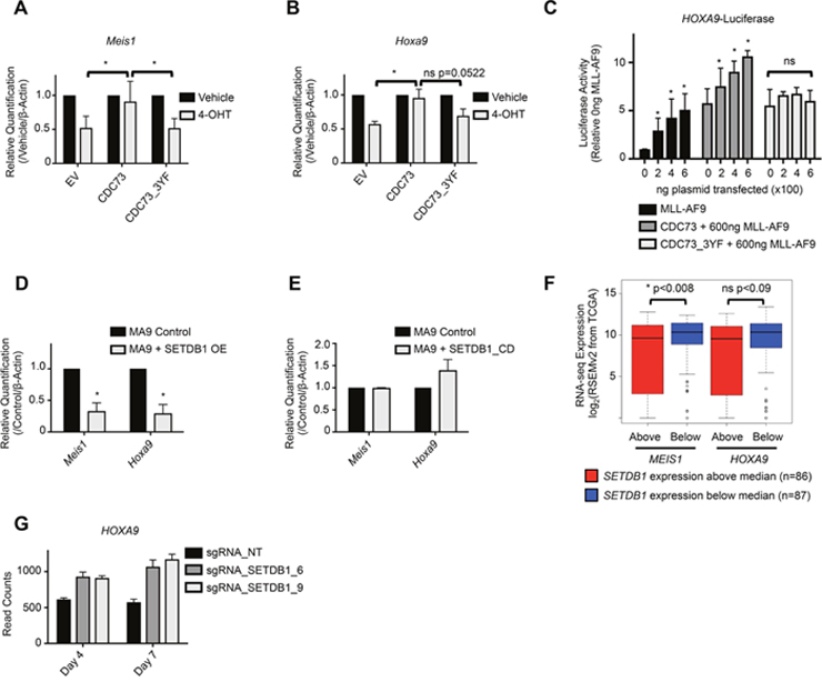 SETDB1 and CDC73&#x005F;3YF mediated repression of Hoxa9 and Meis1 transcription.