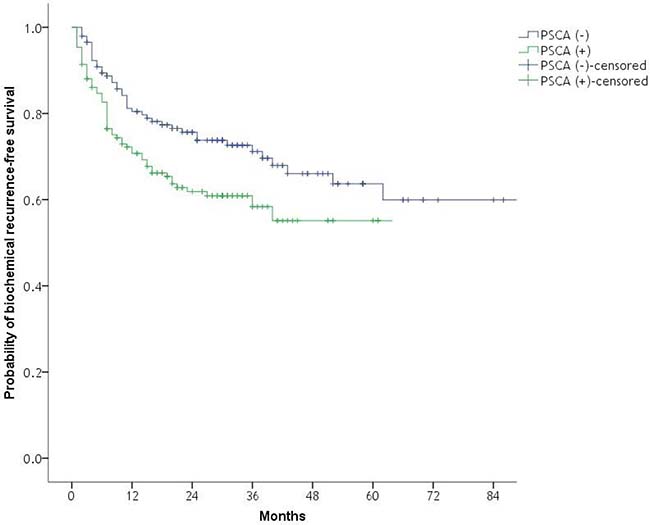 Kaplan&#x2013;Meier plot of the likelihood of biochemical recurrence-free survival with respect to RT-PCR PSCA positivity after radical prostatectomy.