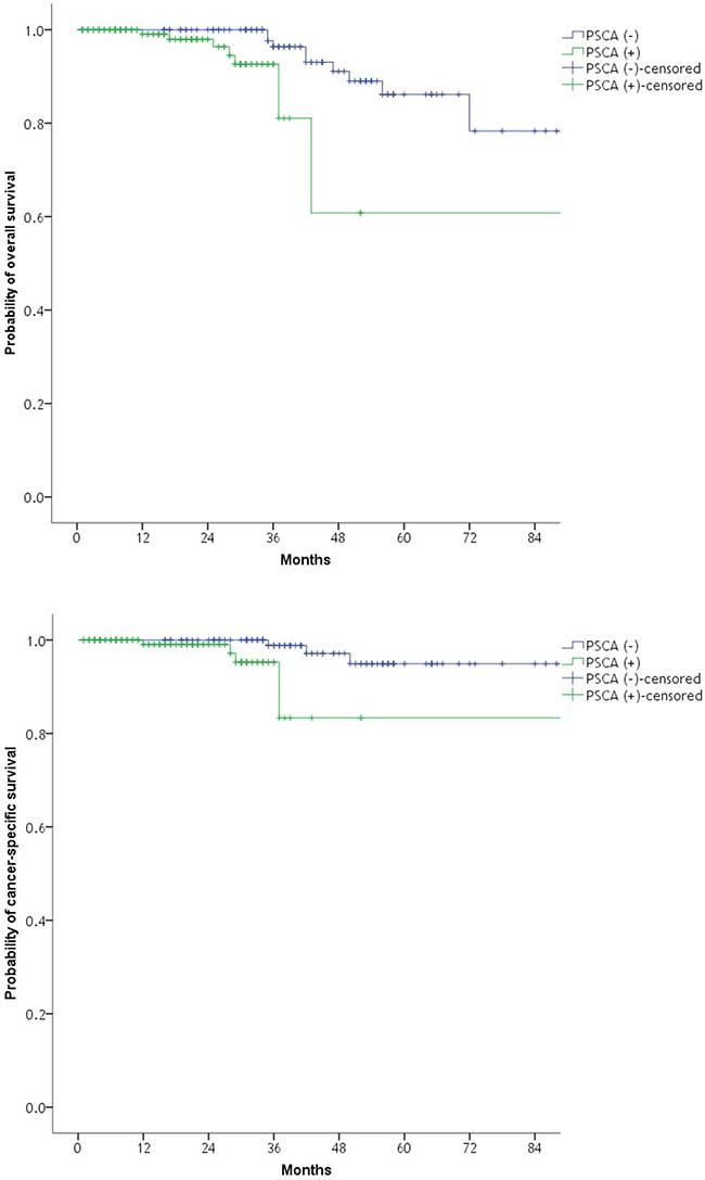 Kaplan&#x2013;Meier plot of the likelihood of overall survival and cancer-specific survival with respect to RT-PCR PSCA positivity after radical prostatectomy.