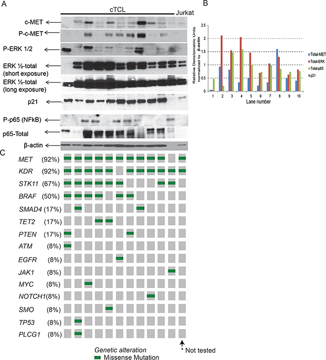 Protein analysis and mutational mapping.