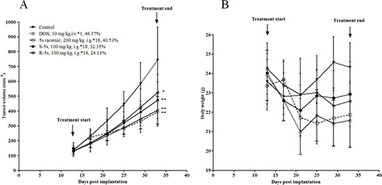 Antitumor activity of compound 5s (200 mg/kg, administered intragastrically, 18 days), and compounds S-5s and R-5s (100 mg/kg, administered intragastrically, 18 days) against A549 xenografts in nude mice.