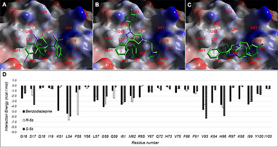 Observed Binding mode of (A) benzodiazepine and docking poses of (B) R-5s and (C) S-5s within the p53-binding site of MDM2.