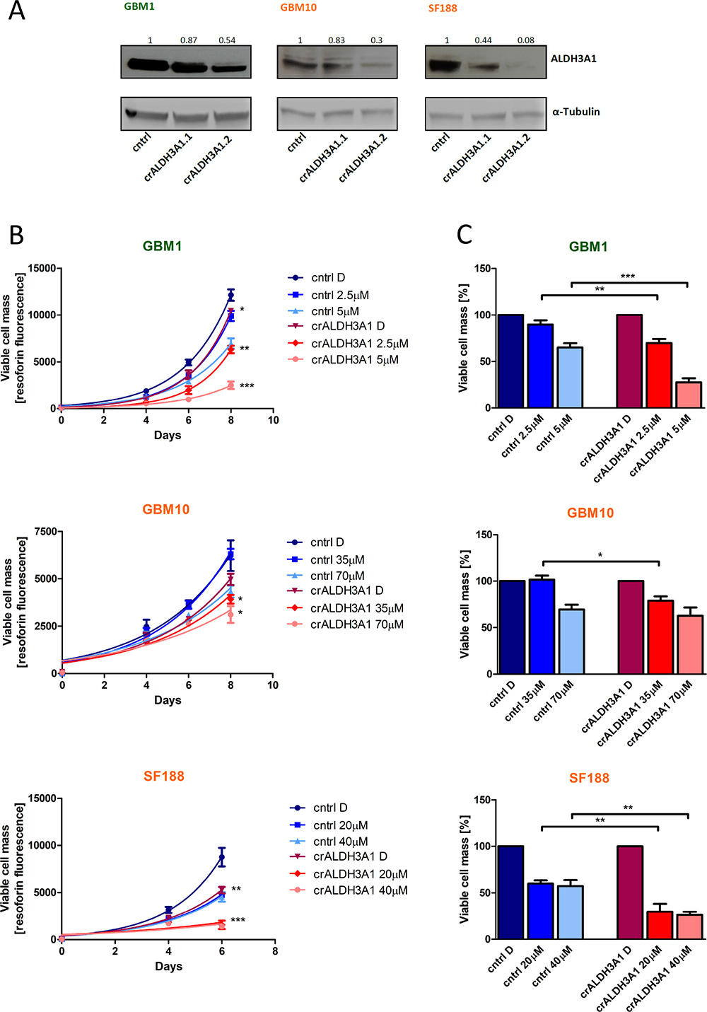 ALDH3A1 knock-down reduces cell viability and sensitizes cells to TMZ.