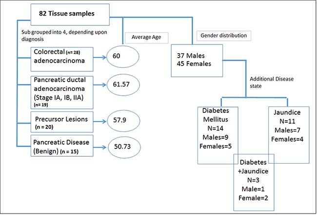Demographic and clinical characteristics of the cohort used for metabolomics analyses.