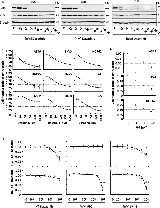 Dasatinib