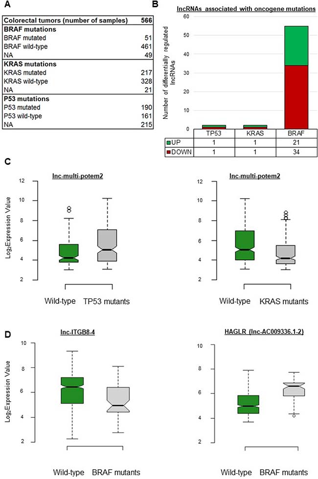 lncRNA