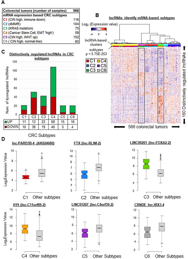 lncRNA