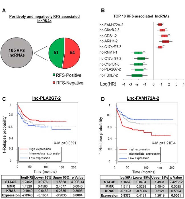 lncRNAs