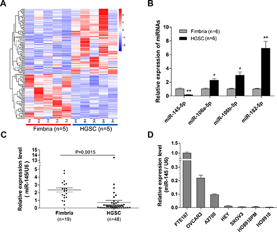 Down-regulation of miR-145 in ovarian cancer tissues and cell lines.