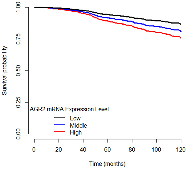 Disease-specific survival curves of ER&#x002B; breast cancer patients separated by AGR2 mRNA expression level.