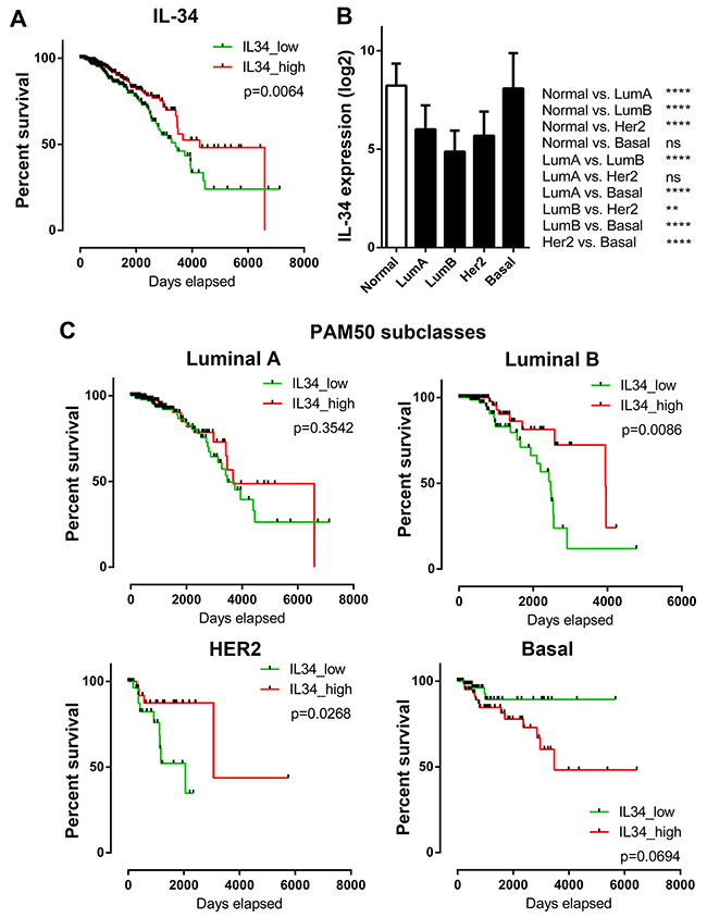 IL-34 expression and overall survival across molecular subtypes of breast cancer.