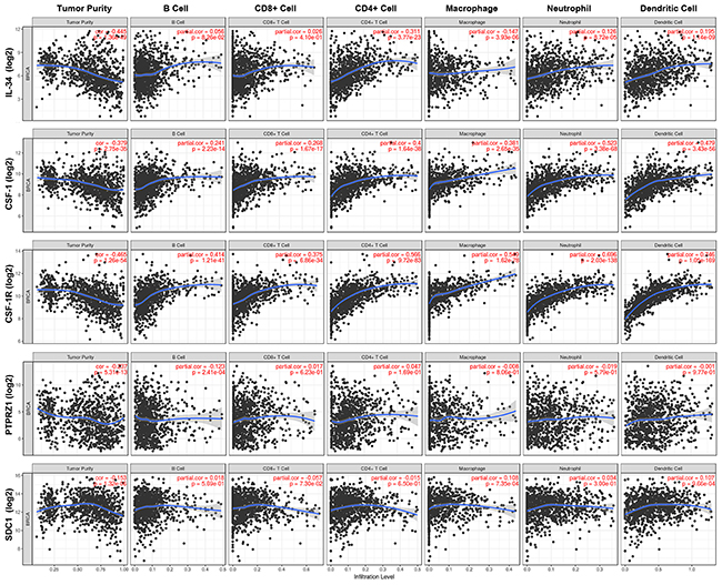 Immune cell landscape of breast cancer compared with TCGA gene expression of IL-34, CSF-1, CSF-1R, PTPRZ1, and SDC1 (syndecan-1).