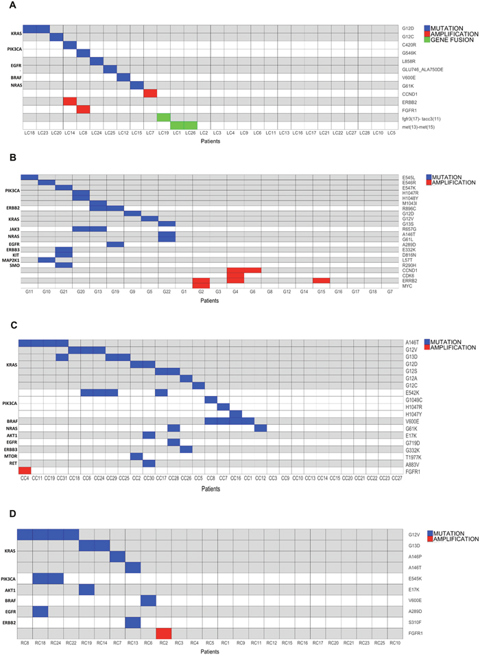 Mutation, amplification and gene fusion profiles of the tumors under analysis.