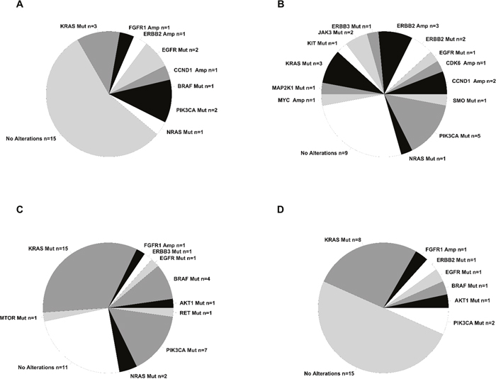 Summary of alterations identified in the tumors under analysis.