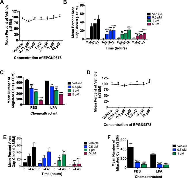 LPA1 antagonist, EPGN9878, reduced migration and motility of triple-negative breast cancer cell lines.