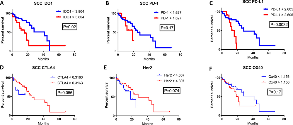 The correlation of patient survival with immune checkpoint expression mRNA levels in esophageal squamous cell carcinoma.