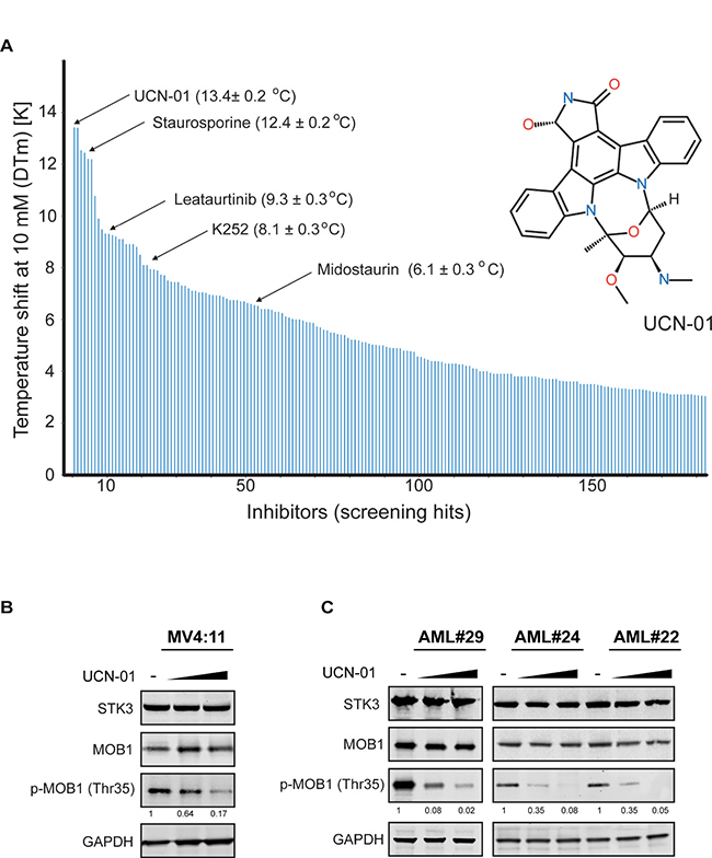 Multikinase