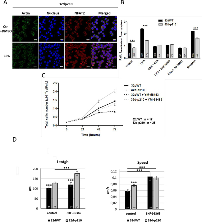 SOCE dependent cellular processes.