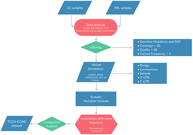 Pipeline applied for the identification of SNVs and/or small indels in the 37 CC patients included in the study.