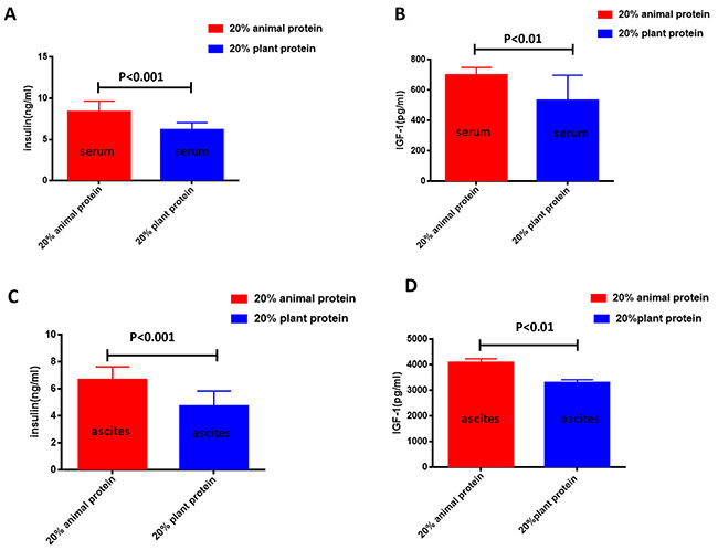 The serum/ascites levels of insulin and IGF-1 in the 20% animal protein group and the 20% plant protein group.