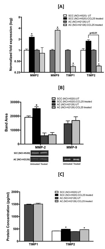 CCL25-induced expression of MMPs and TIMPs in LuCa cells.