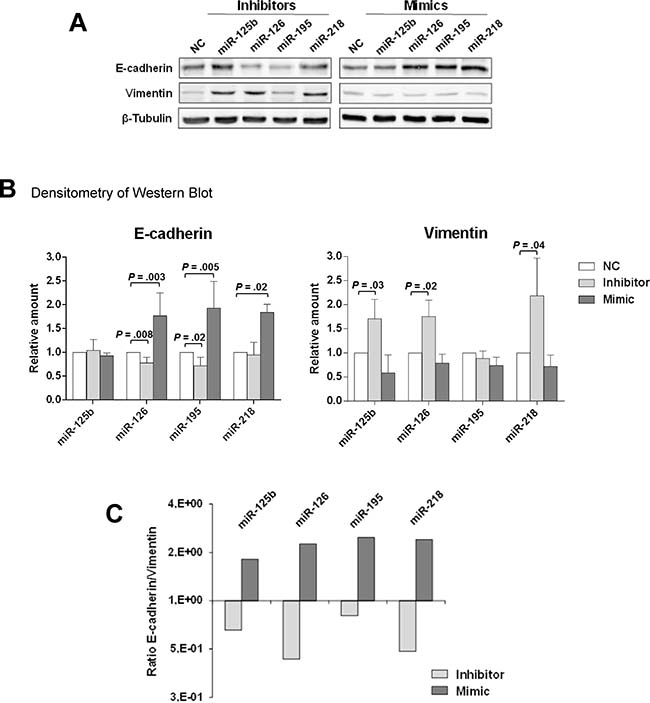 miR-126 and miR-218 inhibit the expression of EMT markers in MCF10DCIS cells.