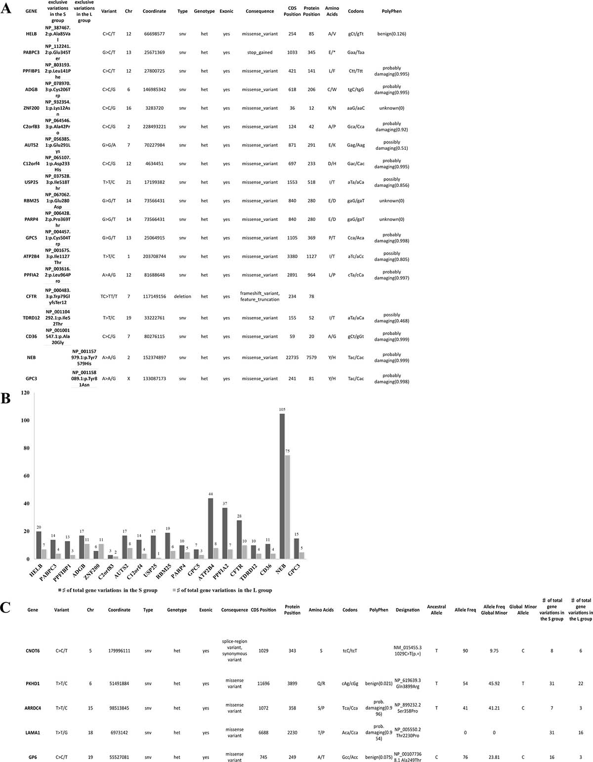 Details of variants per group and hypermutational status.