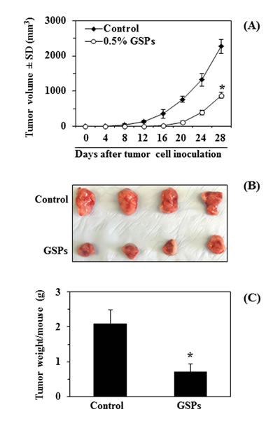 Dietary supplementation of GSPs with AIN76A control diet inhibits