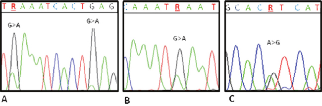 Electropherograms showing PIK3CA mutations.