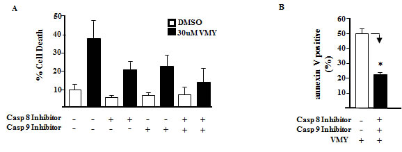 Fig 4: Effects of caspase inhibition on VMY-induced cell death.